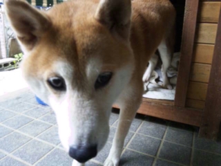 moblog_ad98a51e.jpg