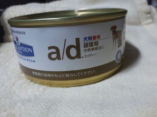 moblog_af295aa6.jpg