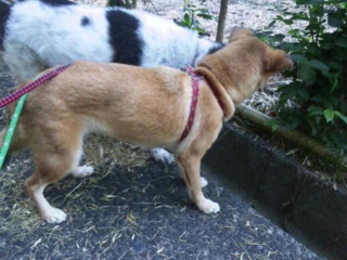 moblog_b2944b0b.jpg