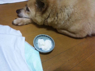 moblog_b350cd52.jpg