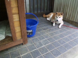 moblog_b36d02e1.jpg