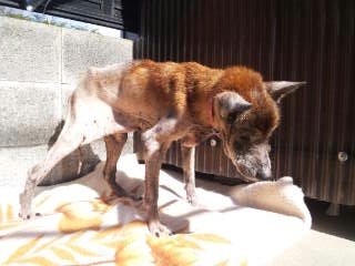 moblog_b455d91e.jpg