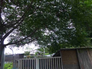 moblog_b5eb8a15.jpg