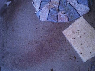 moblog_b82b1337.jpg