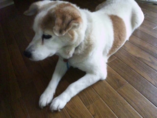 moblog_bcd0da32.jpg