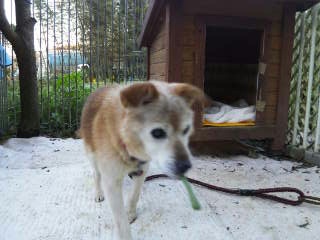 moblog_be0a8995.jpg