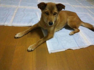 moblog_bee4a324.jpg