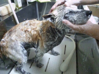moblog_c02a7254.jpg