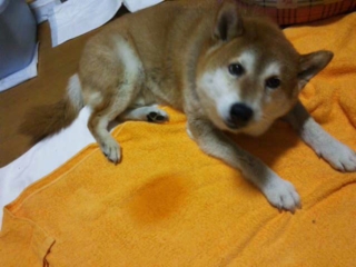 moblog_c2a8514f.jpg