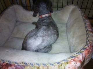 moblog_c6a41765.jpg