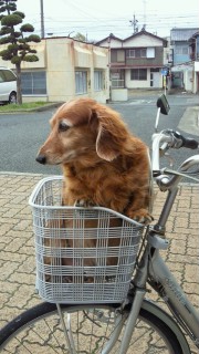 moblog_c8f981a4.jpg