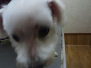 moblog_cb947dfb.jpg