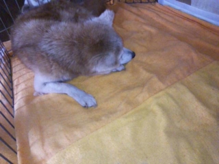 moblog_ce7d229c.jpg