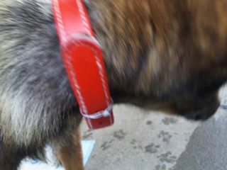 moblog_d00c57f1.jpg