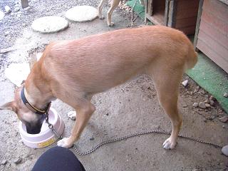 moblog_d0bd84ea.jpg