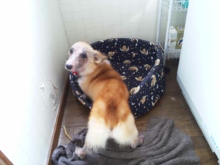 moblog_d48f0798.jpg