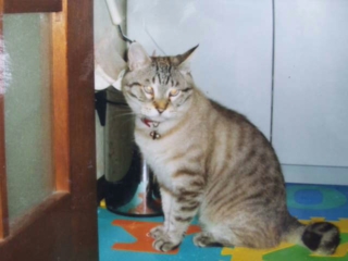 moblog_d717a21c.jpg