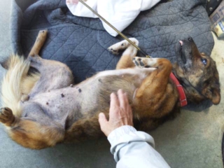 moblog_d795204f.jpg