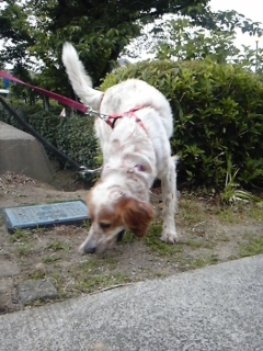 moblog_df8661b1.jpg
