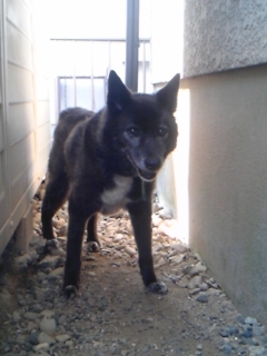 moblog_df9e2269.jpg