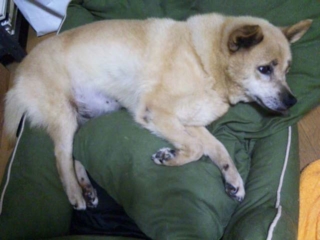 moblog_e5111398.jpg