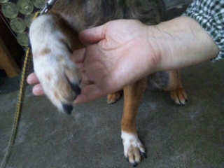 moblog_e7135428.jpg