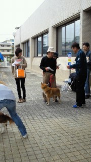 moblog_e9fe6763.jpg