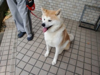 moblog_eb53459c.jpg