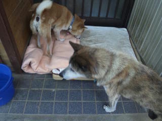 moblog_eb89636c.jpg