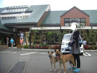 moblog_ec5081f9.jpg
