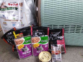 moblog_ed18364e.jpg