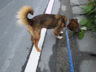 moblog_f01a9a25.jpg