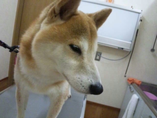 moblog_f2e7b698.jpg