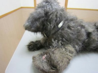 moblog_f7cc40a4.jpg