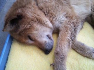 moblog_f89b7618.jpg