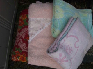 moblog_fcc7993e.jpg