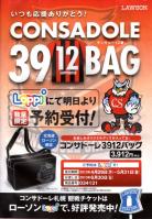 3912BAG