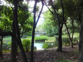 公園