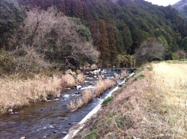 川の水がキレイで釣りもエエかも