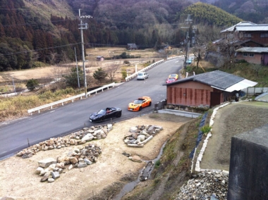 そんな訳で今日もエリーゼが大群ですw