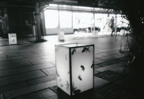 yoru-dazaifu.jpg