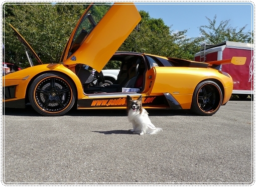 10supercar.jpg