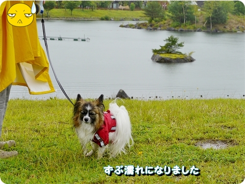 11ame_20120708154503.jpg