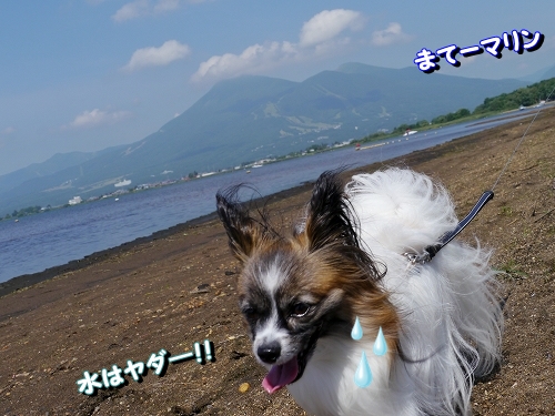 11mizu_20120909111224.jpg