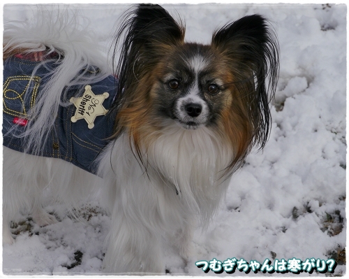 11yuki_20121201210919.jpg