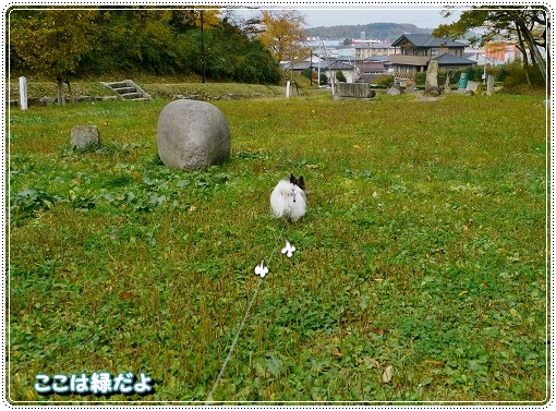 12isinoaki24.jpg