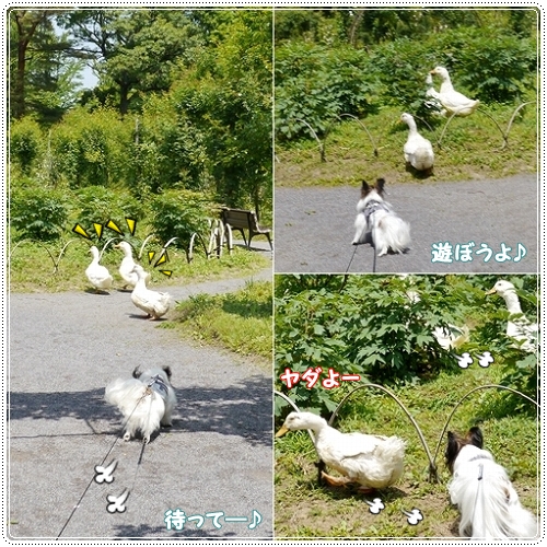 13kansei.jpg