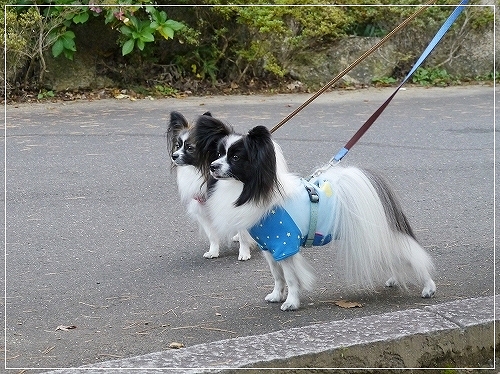 14dai_20120711193338.jpg