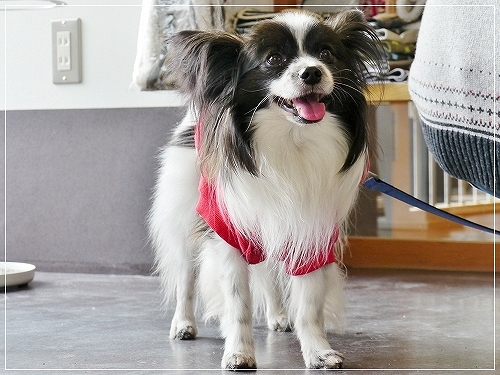 15dai_20120711193338.jpg