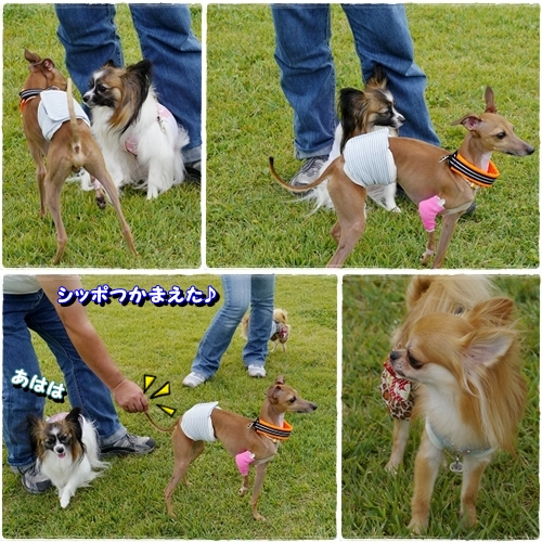 15doubutu_20120917193542.jpg